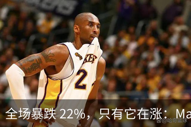 全场暴跌 22%，只有它在涨：Mate 80 的 900 万台是谁买的？